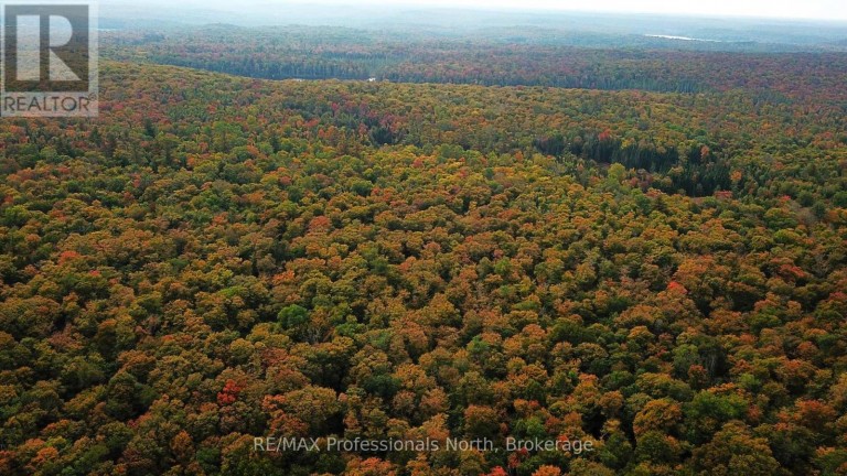 00 SOUTH HORN LAKE ROAD, Magnetawan Ontario
