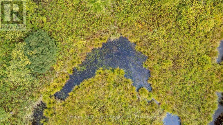 1233 BEIERS RD, Gravenhurst (Morrison) Ontario