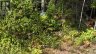 LOT 9 FOX RUN DRIVE, Temagami, Ontario, P0H2H0 (ID X12421043)