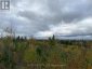 LOT 2 CON 1 CONCESSION, Englehart (central Timiskaming), Ontario, P0J1H0 (ID T12427791)