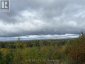 LOT 2 CON 1 CONCESSION, Englehart (central Timiskaming), Ontario, P0J1H0 (ID T12427791)