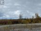 LOT 2 CON 1 CONCESSION, Englehart (central Timiskaming), Ontario, P0J1H0 (ID T12427791)