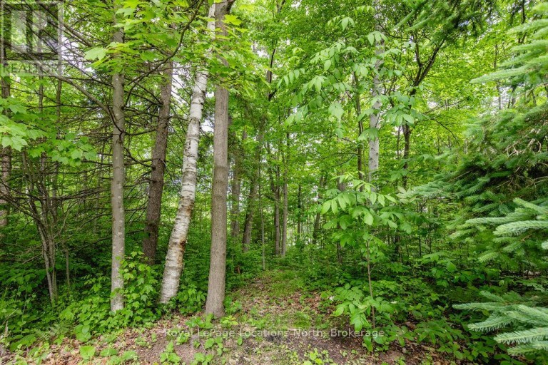 16 SUNWARD DRIVE, Wasaga Beach Ontario