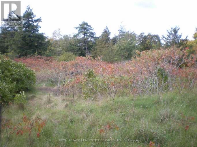 LT 27 PT 3 COUNTY RD 10, Prince Edward County (South Marysburg Ward), Ontario, K0K2T0