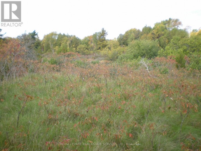 LT 27 PT 3 COUNTY RD 10, Prince Edward County (South Marysburg Ward), Ontario, K0K2T0