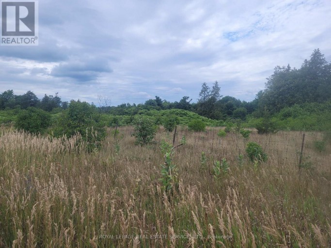 LT 27 PT 3 COUNTY RD 10, Prince Edward County (South Marysburg Ward), Ontario, K0K2T0