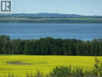 9, 420069 Range Road 284 Rural Ponoka County Alberta photo 1
