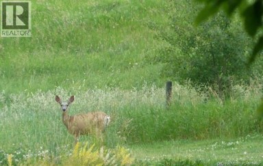 9, 420069 Range Road 284 Rural Ponoka County Alberta photo 11