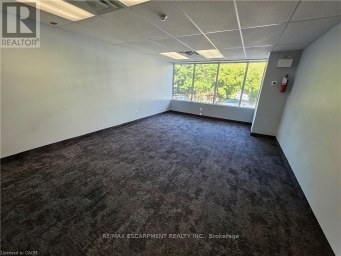 206 - 17 KING STREET E Hamilton (Dundas) Ontario photo 8