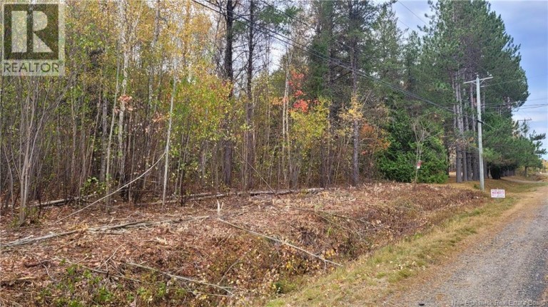 0 Rte 118, South Nelson, New Brunswick, E1N6C7