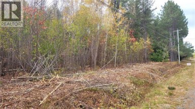 0 Rte 118 South Nelson New Brunswick photo 4