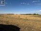 11312 Range Road 63, Rural Cypress County, Alberta, T0J2P0 (ID A2264647)