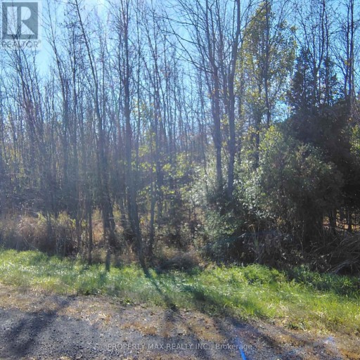 NA AULTSVILLE ROAD, South Stormont, Ontario, K0C1M0