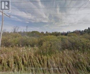 21620 YORK DURHAM LINE East Gwillimbury Ontario photo 1