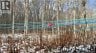 NA Woods Road, Kedgwick, New Brunswick, E8B1H1 (ID NB130689)