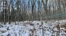NA Woods Road, Kedgwick, New Brunswick, E8B1H1 (ID NB130689)