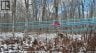 NA Woods Road, Kedgwick, New Brunswick, E8B1H1 (ID NB130689)