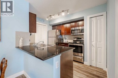 311, 2715 12 Avenue SE Calgary Alberta photo 6