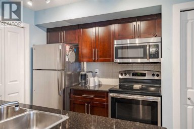 311, 2715 12 Avenue SE Calgary Alberta photo 7