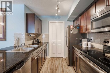 311, 2715 12 Avenue SE Calgary Alberta photo 8