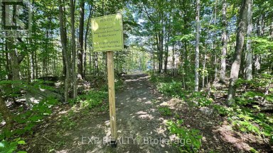 LOT 18 MULBERRY COURT Tiny Ontario photo 7