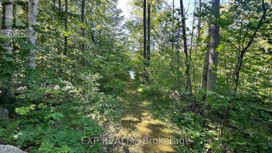 LOT 18 MULBERRY COURT Tiny Ontario photo 8