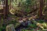 1 Stuart Island, Stuart Island, British Columbia, V0P1V0 (ID 1021346)