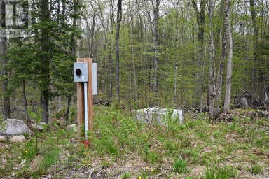 121 LOON LAKE ROAD Magnetawan Ontario photo 42