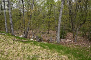 121 LOON LAKE ROAD Magnetawan Ontario photo 43