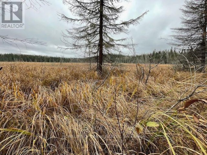 PCL 7576 0 N, Dryden, Ontario, P0V1P0