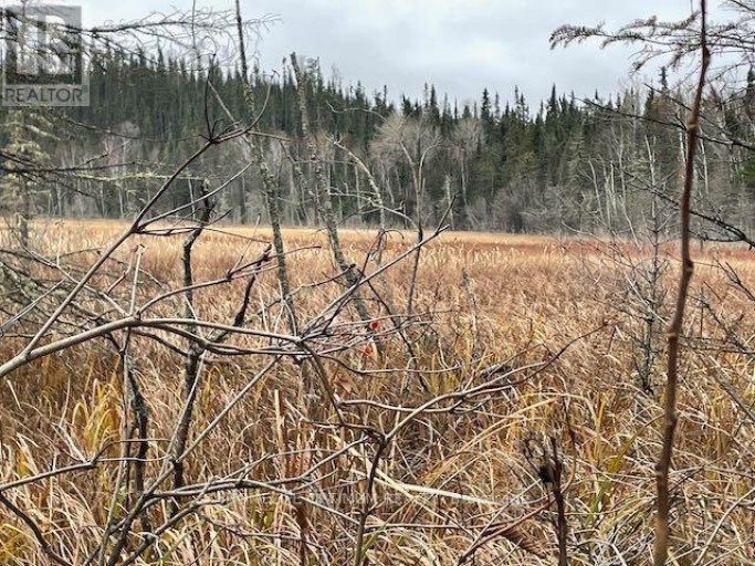 PCL 7576 0 N, Dryden, Ontario, P0V1P0