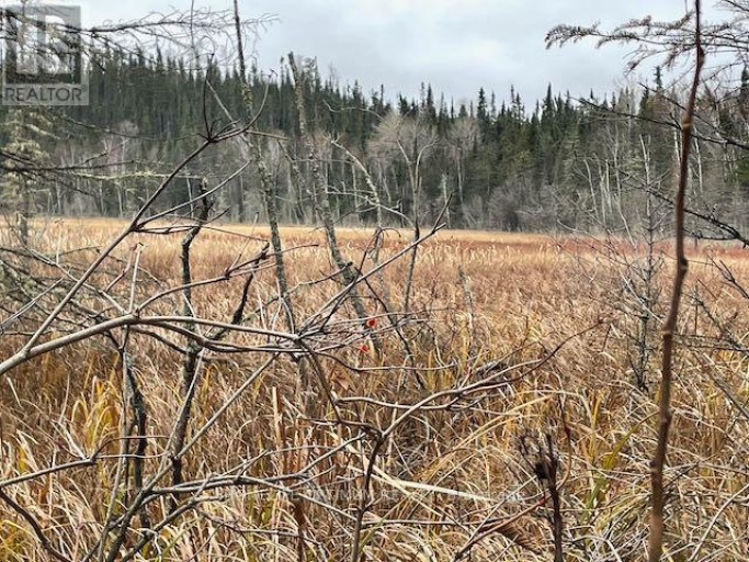 PCL 7576 0 N, Dryden, Ontario, P0V1P0