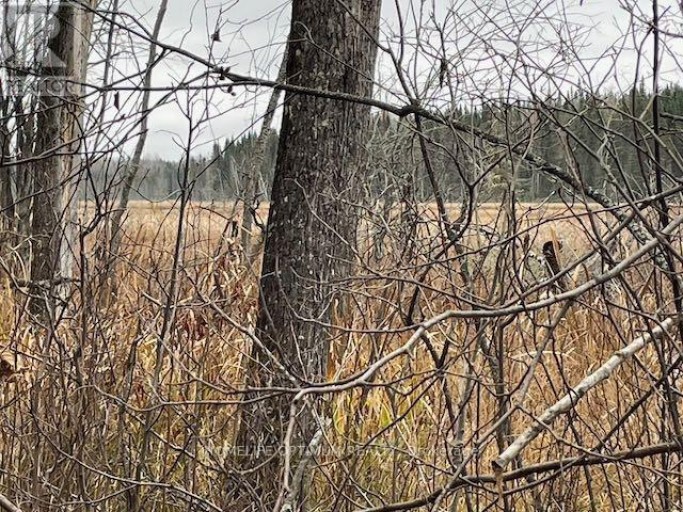 PCL 7576 0 N, Dryden, Ontario, P0V1P0