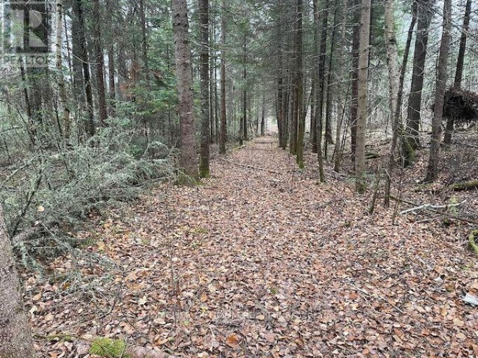 PCL 7576 0 N, Dryden, Ontario, P0V1P0