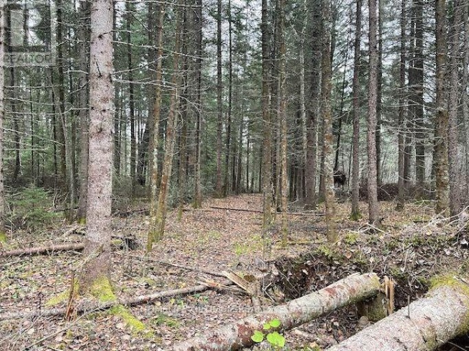 PCL 7576 0 N, Dryden, Ontario, P0V1P0