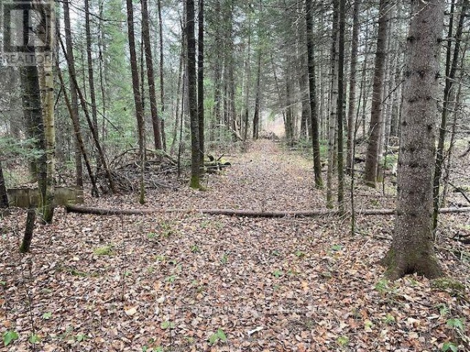 PCL 7576 0 N, Dryden, Ontario, P0V1P0