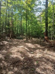 1055 PORKYS ROAD Minden Hills (Snowdon) Ontario photo 13