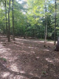 1055 PORKYS ROAD Minden Hills (Snowdon) Ontario photo 14