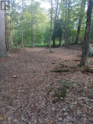 1055 PORKYS ROAD Minden Hills (Snowdon) Ontario photo 15