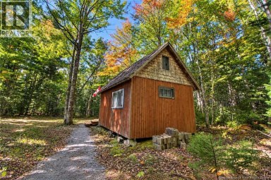 LOT 2 and Camp Old Portage Road Anagance New Brunswick photo 10