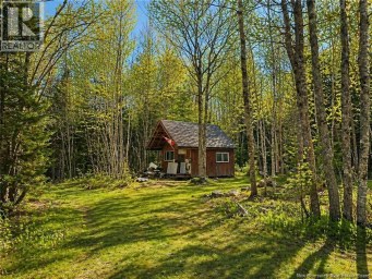 LOT 2 and Camp Old Portage Road Anagance New Brunswick photo 12