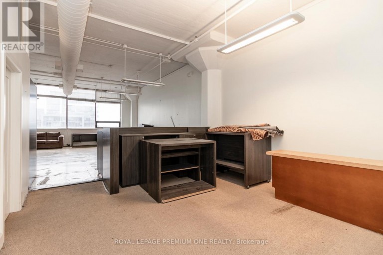 403 - 672 DUPONT STREET, Toronto (Dovercourt-Wallace Emerson-Junction), Ontario, M6G1Z6