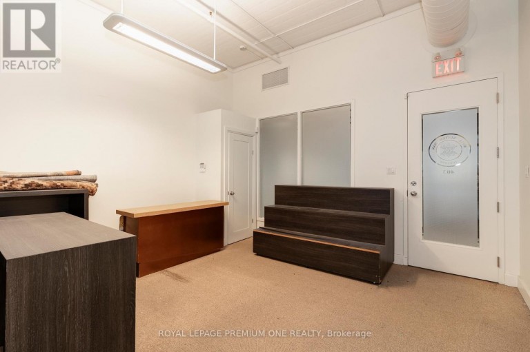 403 - 672 DUPONT STREET, Toronto (Dovercourt-Wallace Emerson-Junction), Ontario, M6G1Z6