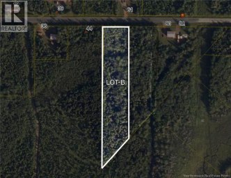 LOT B Saint Pierre Rogersville New Brunswick photo 1