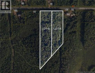 LOT B Saint Pierre Rogersville New Brunswick photo 2
