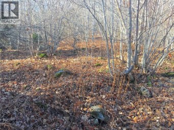 Norton Shore Kingston New Brunswick photo 10