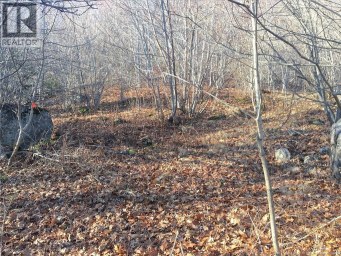 Norton Shore Kingston New Brunswick photo 11