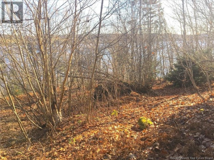 Norton Shore, Kingston, New Brunswick, E5N2A5