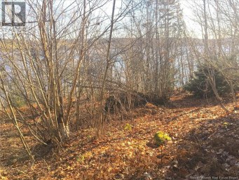 Norton Shore Kingston New Brunswick photo 8
