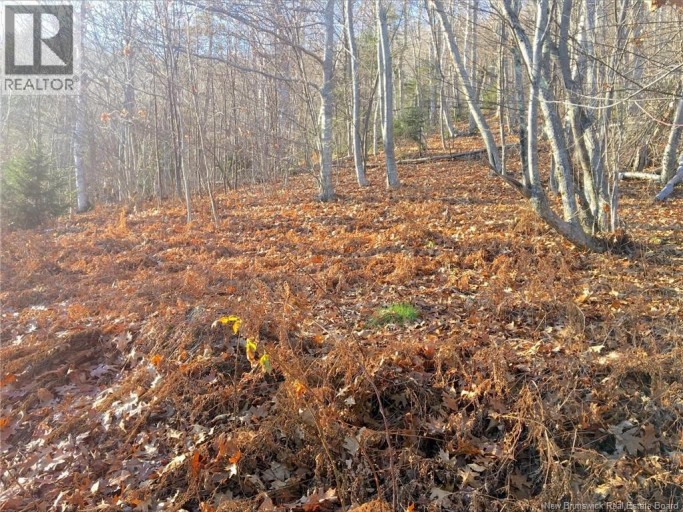 Norton Shore, Kingston, New Brunswick, E5N2A5